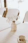 Party Tent Rentals Los Angeles